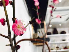 -茶是一枝花泡茶店