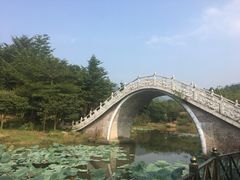 -田野绿世界