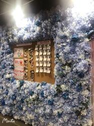 -doladola(徐家汇店)