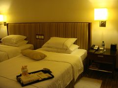 DSC03005-惠州康帝国际酒店