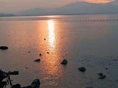-深圳湾公园(南山区)