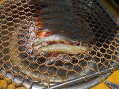 -老炉家木炭烤肉(长江国际店)