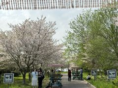 -南湖湿地公园