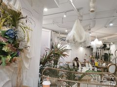 -共舞时光猫咖·狗咖(新街口店)