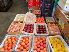 -西郊国际农产品交易中心