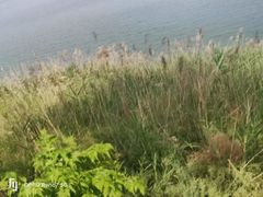 -卤阳湖国家湿地公园