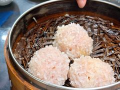 大力丸-风波庄(罍街分舵)