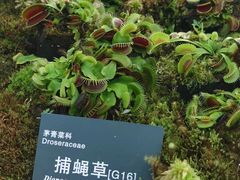 -北京植物园-展览温室