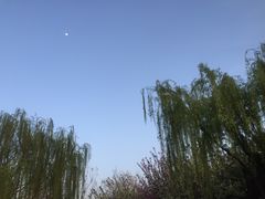 -西安青龙寺遗址景区