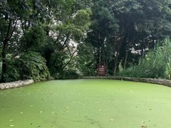 -成都市活水公园