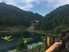 -武陵山森林公园