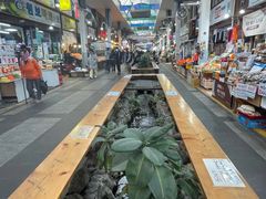 -西归浦每天偶来市场