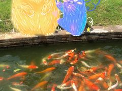 -迪茵湖田家舍生态农场
