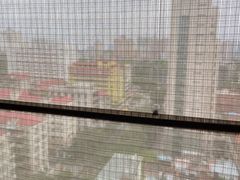 -广州德安丽舍凯宾斯基酒店