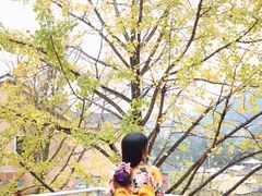 -重庆南山海昌汤都