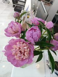 -雅仕 HAIR SALON 美发沙龙