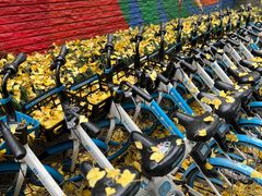 -四川大学(华西校区)