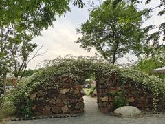 -鹅湖玫瑰文化园