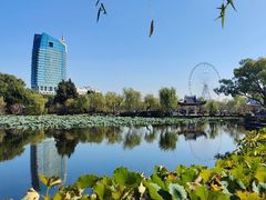 -无锡蠡湖国家湿地公园-蠡园