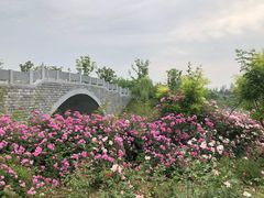 -尚贤河湿地