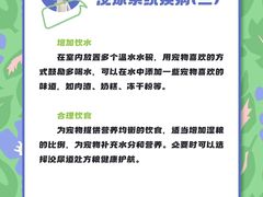 -瑞派申生动物医院·24H夜诊·国际动物医疗中心·骨外科(吴中路店)