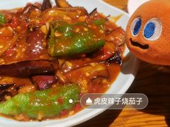 -柴窝堡22号辣子鸡·传承新疆菜