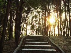 -火炉山森林公园