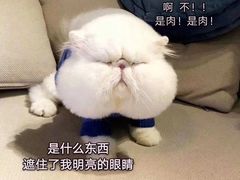 -哈喽似喜照相馆(红谷滩万达店)