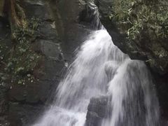 -藏龙百瀑风景区