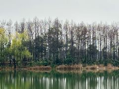 -梁鸿国家湿地公园