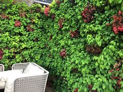 -Bco豆库(星耀天地店)