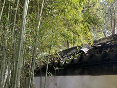 -秋霞圃