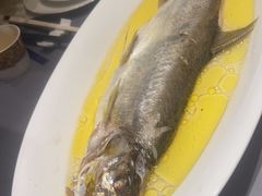鸡汁长江白鱼-狮王府淮扬菜(新街口友谊店)