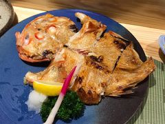 金吉鱼-镹·鱼料理  国产鱼使用店