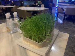 -美姿水荟美食水疗