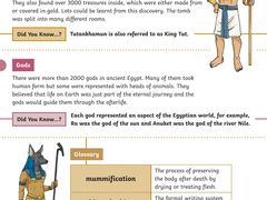 -上海市世外小学