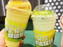 -茉酸奶(春熙路店)