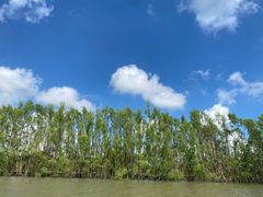 -东寨港红树林旅游区