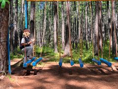 -莫尔道嘎国家森林公园