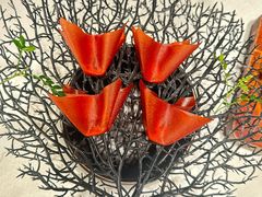 -迦南苑·新派青岛菜·生日纪念日主题餐厅