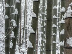 -安吉龙王山风景区