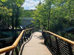 -白水寺森林公园