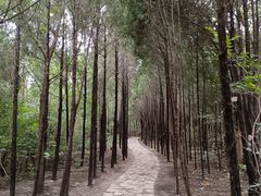 -青州市云门山风景区