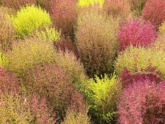 -天津东丽湖风景区