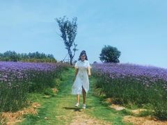 -泰山天颐湖旅游度假区