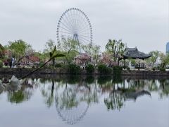 -无锡蠡湖国家湿地公园-蠡园
