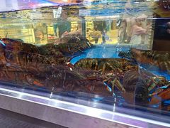 -盒马X会员店(王府井奥莱UP TOWN店)