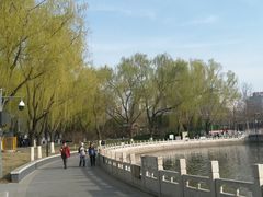 -莲花池公园
