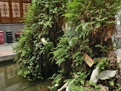 -炑羊香烤全羊(西三旗店)