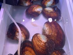 -十八字金·银饰·拼豆·开蚌DIY(魏公芳华里店)
